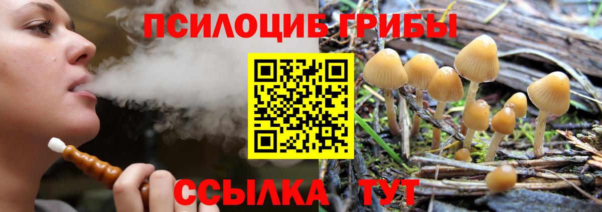 Волхов  Галлюциногенные грибы GOLDEN TEACHER  Псилоцибиновые грибы Magic Shrooms  Вход с VPN 
